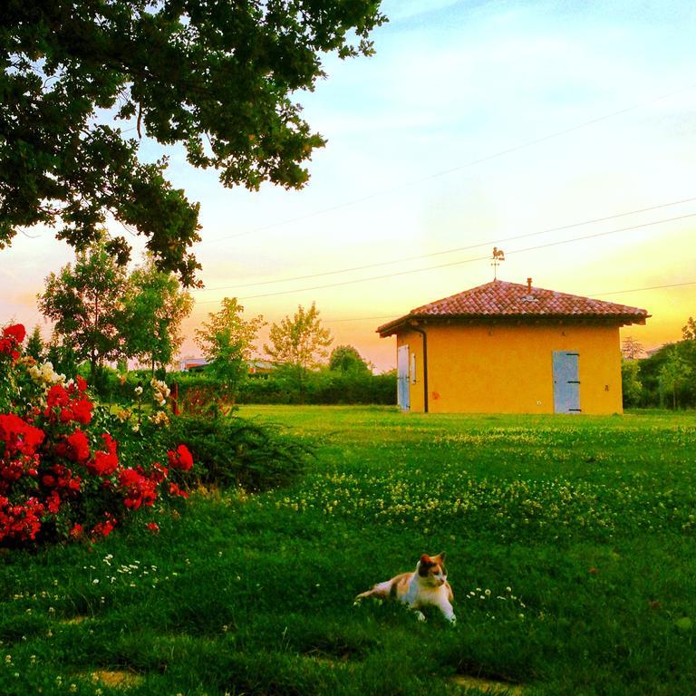 Vigorso 41 Country House Budrio  Luaran gambar